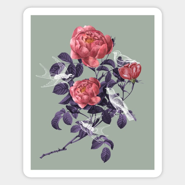 Vintage Botanical Print Magnet by 45 Creative Club